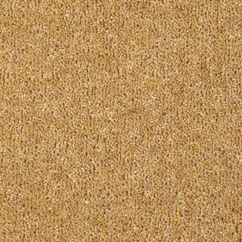 Fairbourne 80/20 Wool