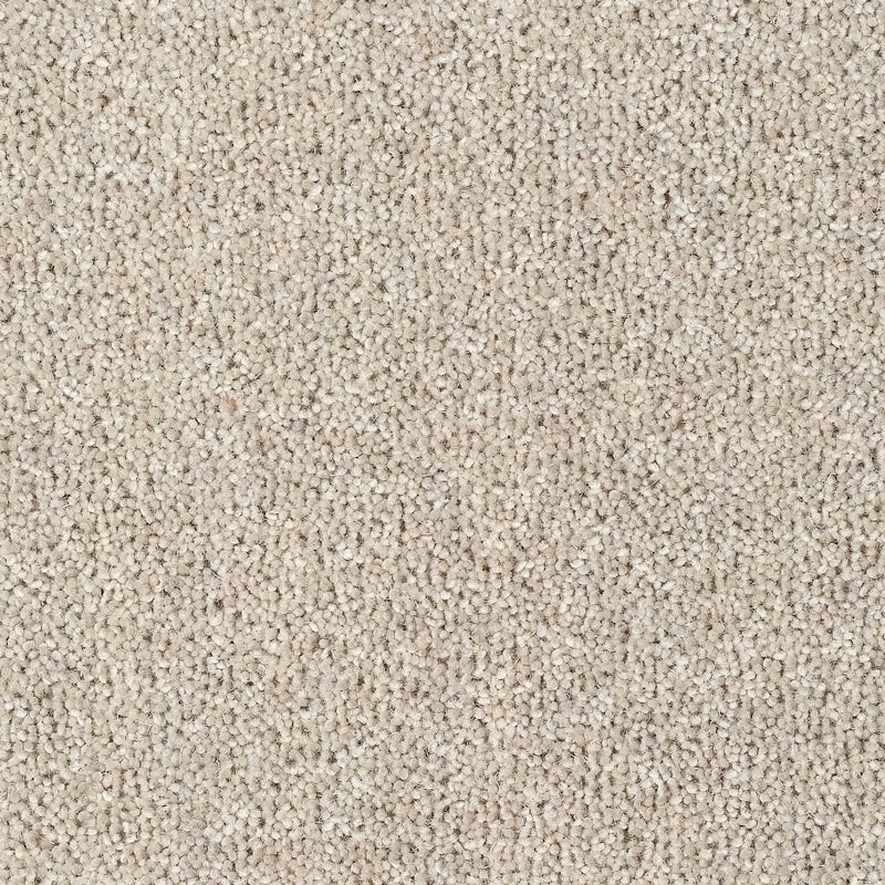 Fairbourne 80/20 Wool