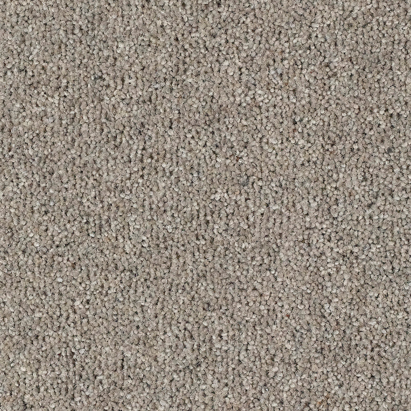 Fairbourne 80/20 Wool