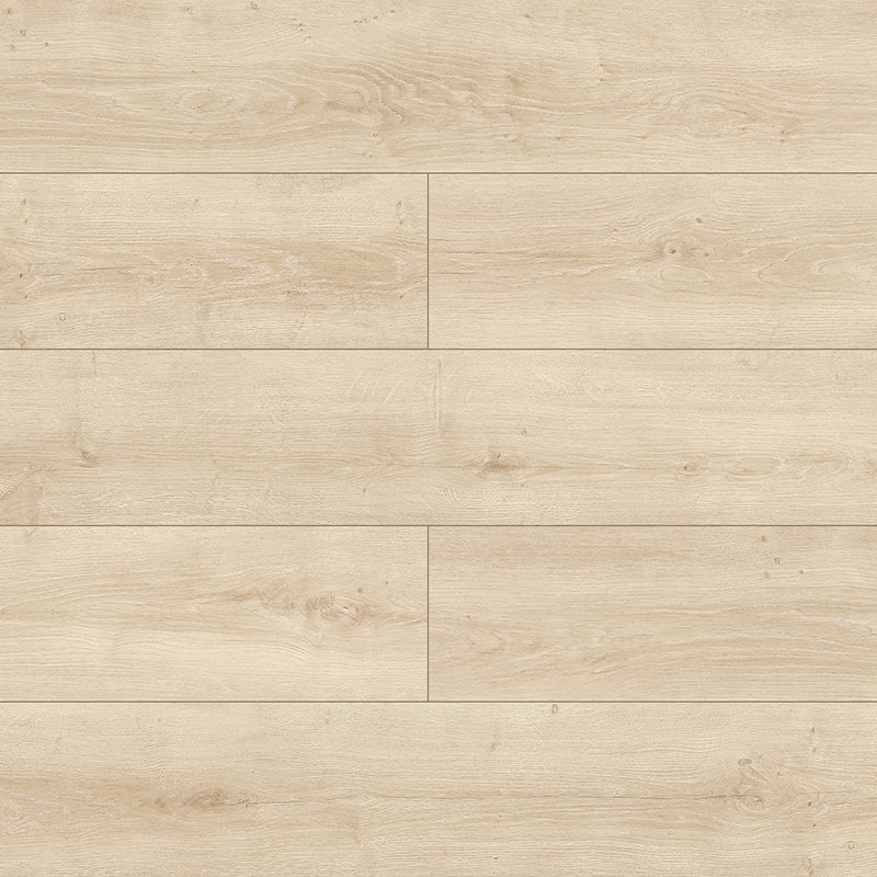 Symfonia Aqua 12mm Laminate