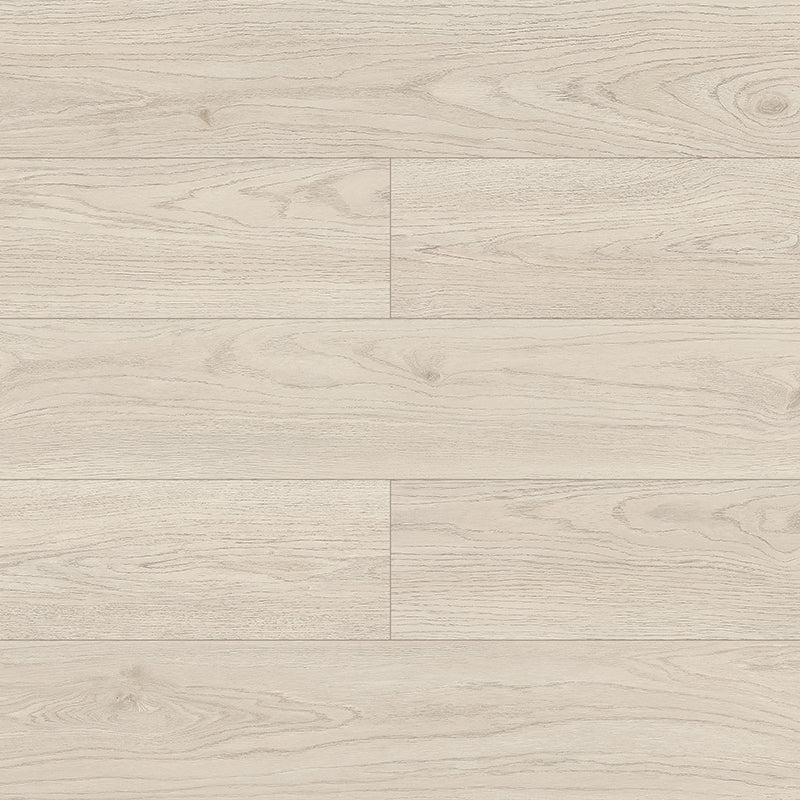 Symfonia Aqua 12mm Laminate
