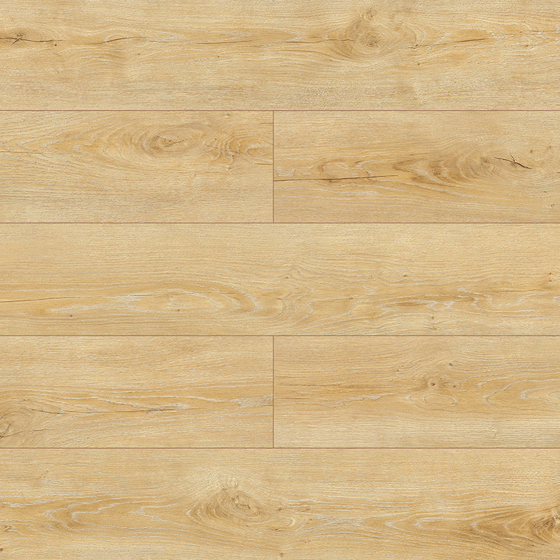 Symfonia Aqua 12mm Laminate