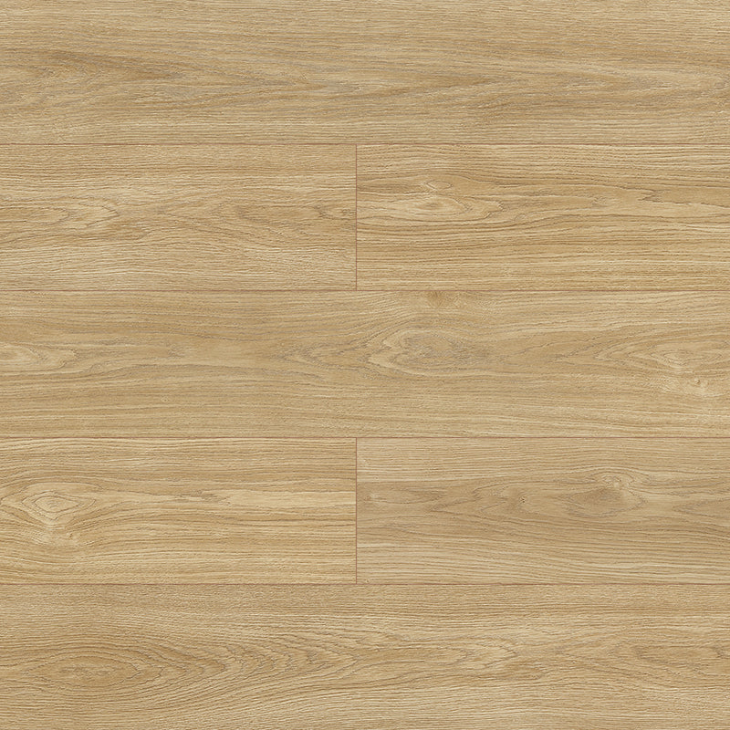 Symfonia Aqua 12mm Laminate