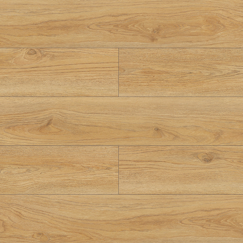 Symfonia Aqua 12mm Laminate