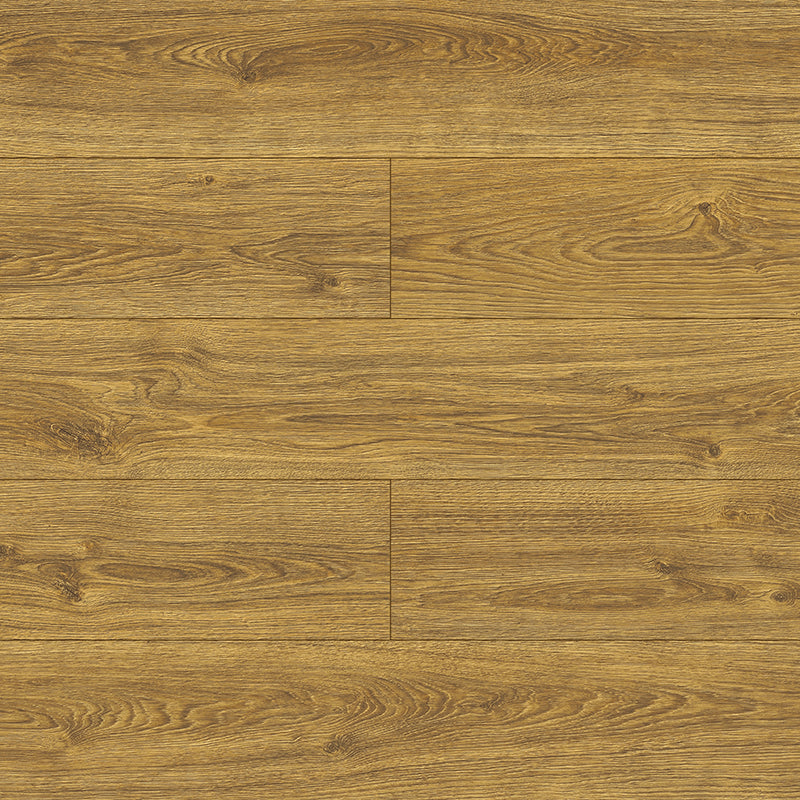 Symfonia Aqua 12mm Laminate